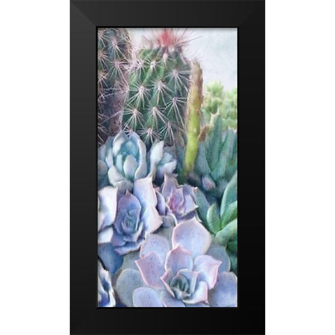 Succulent Garden 1 Black Modern Wood Framed Art Print by Kimberly, Allen