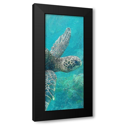 Sea Turtle 1 Black Modern Wood Framed Art Print with Double Matting by Allen, Kimberly