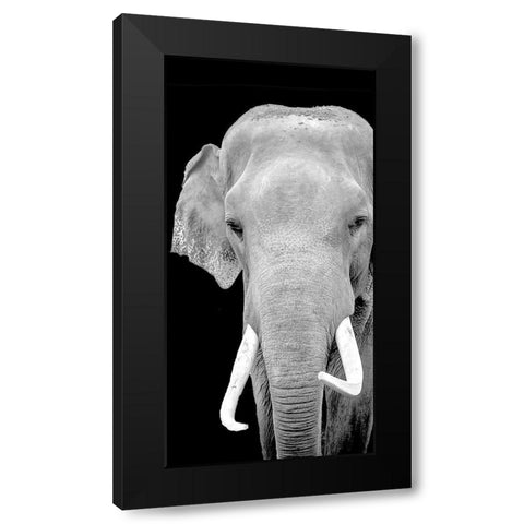Strong 2 Black Modern Wood Framed Art Print with Double Matting by Allen, Kimberly