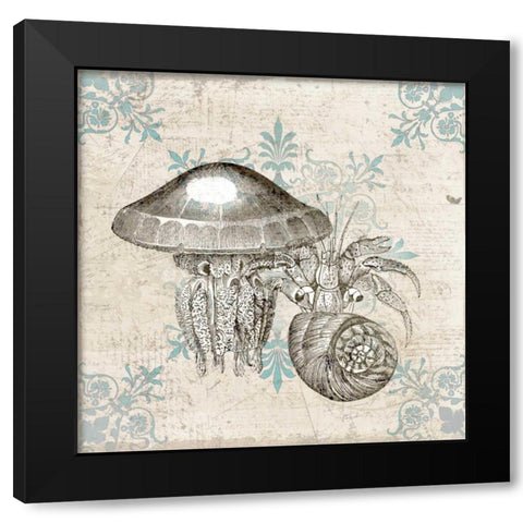 Sea Life B Black Modern Wood Framed Art Print with Double Matting by Allen, Kimberly