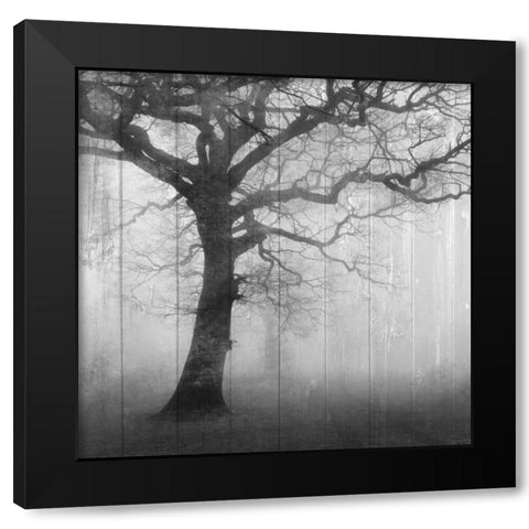 In the Mist Black Modern Wood Framed Art Print with Double Matting by Allen, Kimberly