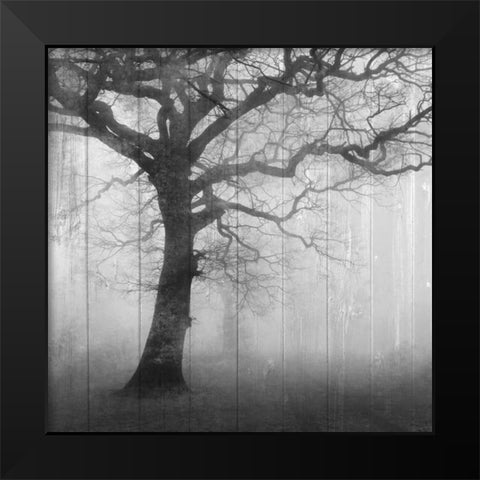 In the Mist Black Modern Wood Framed Art Print by Allen, Kimberly