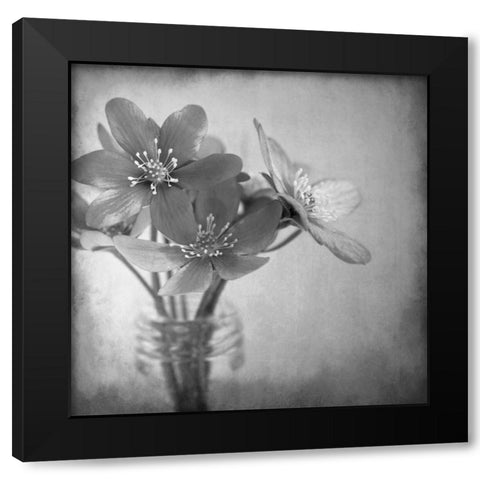 Blooms 2 Black Modern Wood Framed Art Print by Allen, Kimberly