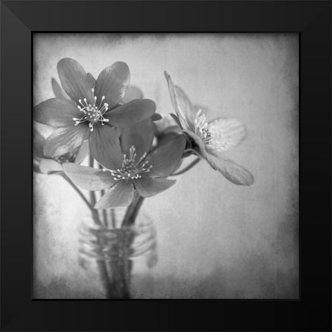 Blooms 2 Black Modern Wood Framed Art Print by Allen, Kimberly