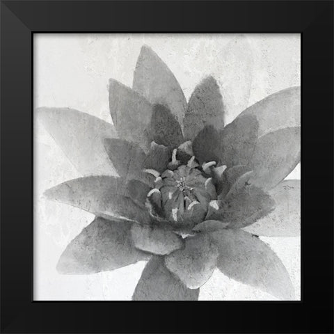 Lotus 1 Black Modern Wood Framed Art Print by Kimberly, Allen