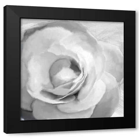 Up Close 1 Black Modern Wood Framed Art Print with Double Matting by Kimberly, Allen