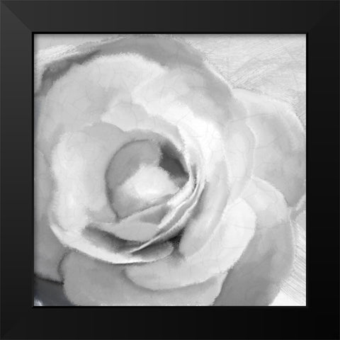 Up Close 1 Black Modern Wood Framed Art Print by Kimberly, Allen