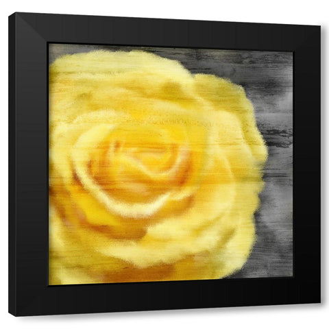 Yellow Rose Black Modern Wood Framed Art Print by Kimberly, Allen