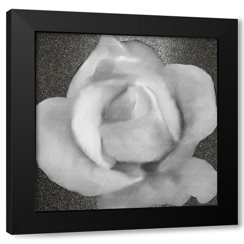 Grey Rose 1 Black Modern Wood Framed Art Print with Double Matting by Kimberly, Allen