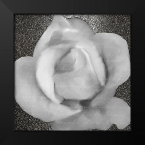 Grey Rose 1 Black Modern Wood Framed Art Print by Kimberly, Allen