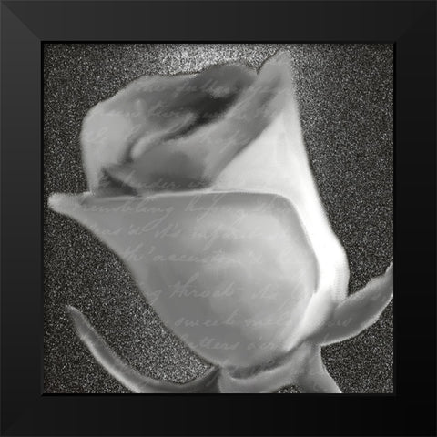 Grey Rose 2 Black Modern Wood Framed Art Print by Kimberly, Allen