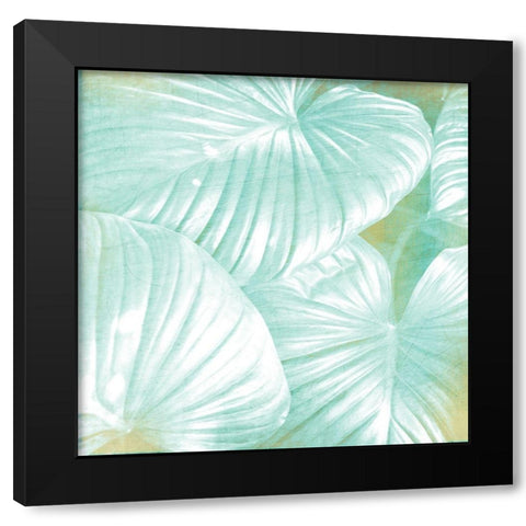Tropics 1 Black Modern Wood Framed Art Print with Double Matting by Kimberly, Allen