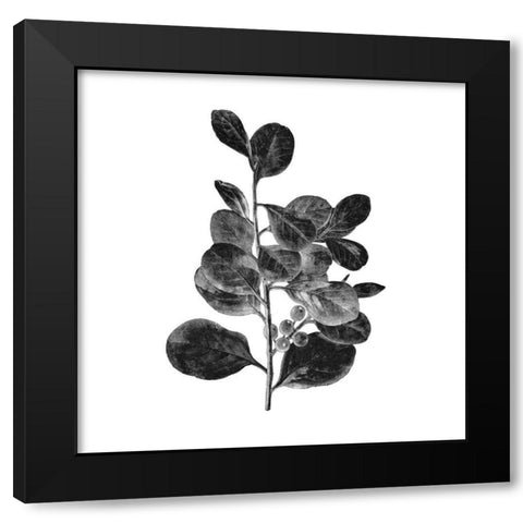 Botanical Black 1 Black Modern Wood Framed Art Print by Kimberly, Allen