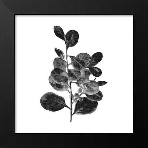 Botanical Black 1 Black Modern Wood Framed Art Print by Kimberly, Allen