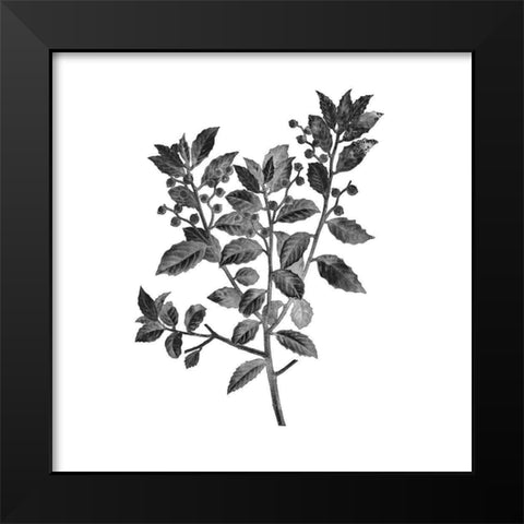 Botanical Black 2 Black Modern Wood Framed Art Print by Kimberly, Allen