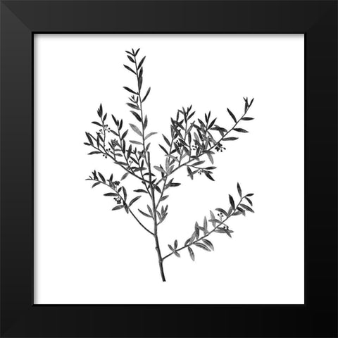 Botanical Black 3 Black Modern Wood Framed Art Print by Kimberly, Allen