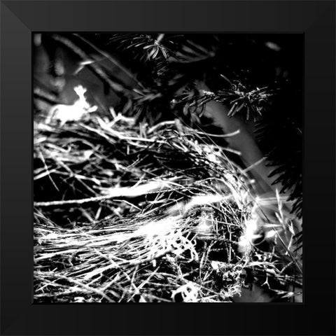 White Nest 2 Black Modern Wood Framed Art Print by Kimberly, Allen