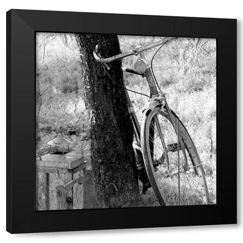 Out for a Ride Black Modern Wood Framed Art Print by Kimberly, Allen