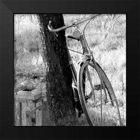Out for a Ride Black Modern Wood Framed Art Print by Kimberly, Allen