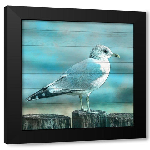 Coastal Life 5 Black Modern Wood Framed Art Print with Double Matting by Kimberly, Allen