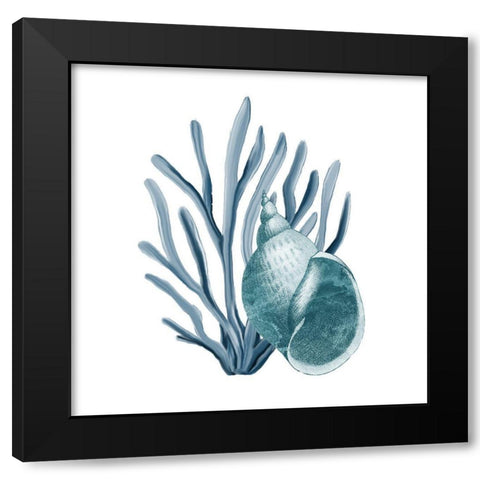 Coastal Coral 4 Black Modern Wood Framed Art Print with Double Matting by Kimberly, Allen