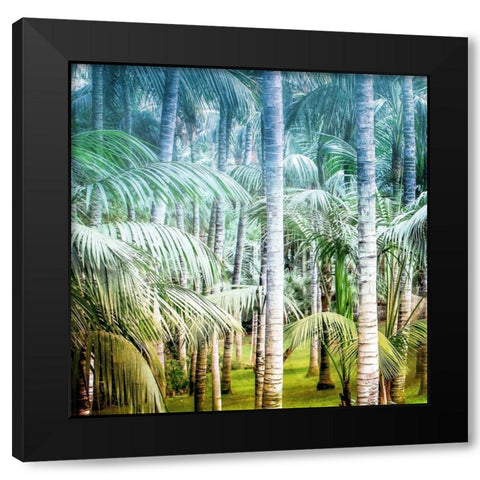 Palm Tree Forest 1 Black Modern Wood Framed Art Print with Double Matting by Kimberly, Allen