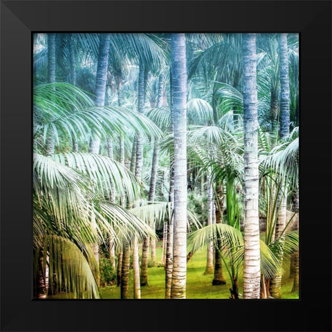 Palm Tree Forest 1 Black Modern Wood Framed Art Print by Kimberly, Allen