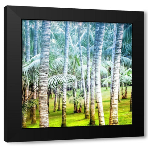 Palm Tree Forest 2 Black Modern Wood Framed Art Print with Double Matting by Kimberly, Allen