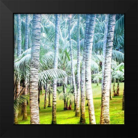 Palm Tree Forest 2 Black Modern Wood Framed Art Print by Kimberly, Allen