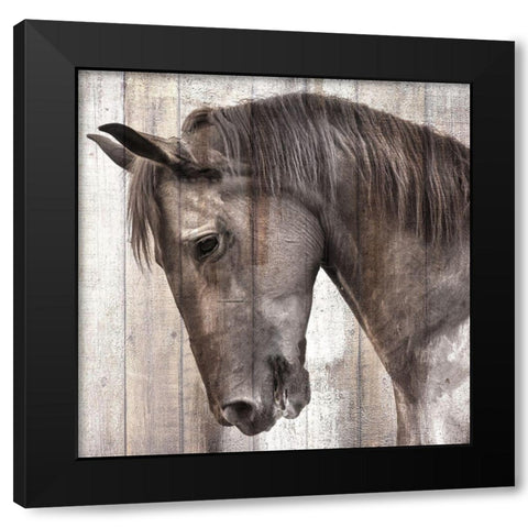 King Black Modern Wood Framed Art Print with Double Matting by Allen, Kimberly