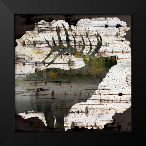 Birch Forest 1 Black Modern Wood Framed Art Print by Allen, Kimberly