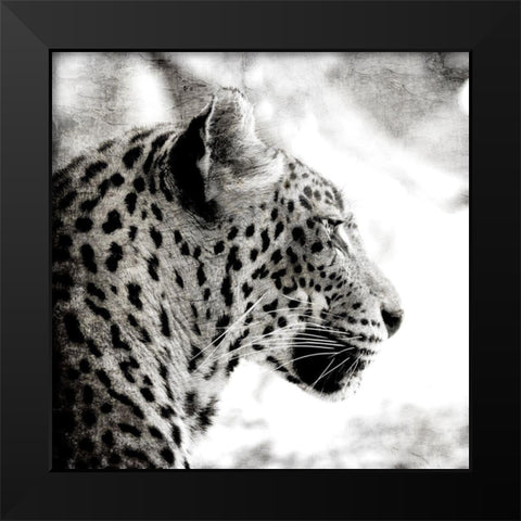 Leopard Gaze Black Modern Wood Framed Art Print by Allen, Kimberly