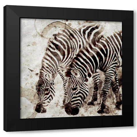 Zebras Black Modern Wood Framed Art Print with Double Matting by Allen, Kimberly