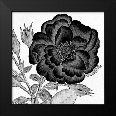 Black and White Bloom 1 Black Modern Wood Framed Art Print by Allen, Kimberly