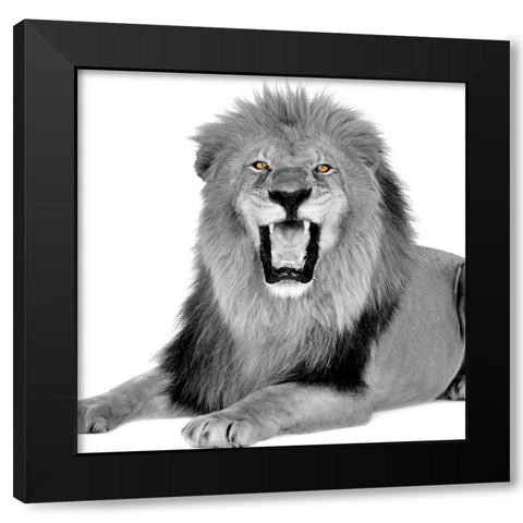 Power Black Modern Wood Framed Art Print with Double Matting by Allen, Kimberly