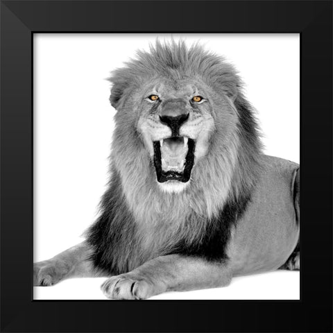 Power Black Modern Wood Framed Art Print by Allen, Kimberly