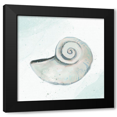 Seashore Shell 1 Black Modern Wood Framed Art Print with Double Matting by Allen, Kimberly