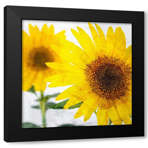 Sunnyside Black Modern Wood Framed Art Print by Allen, Kimberly