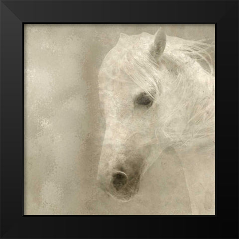 White Mane Black Modern Wood Framed Art Print by Allen, Kimberly
