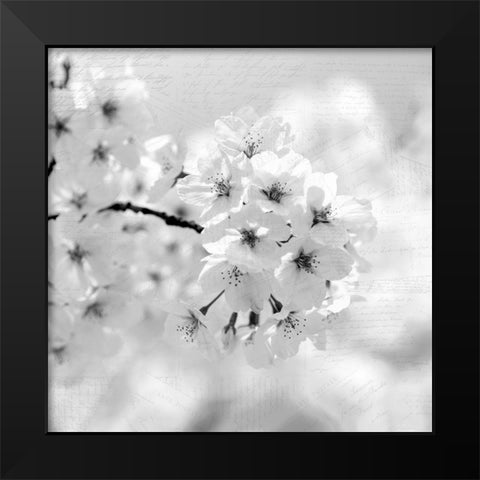 Postcard Magnolia 1 Black Modern Wood Framed Art Print by Kimberly, Allen