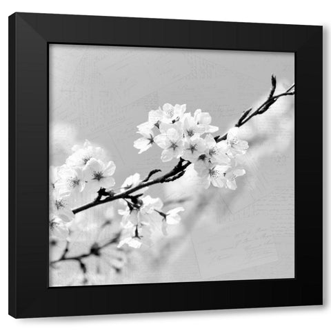 Postcard Magnolia 2 Black Modern Wood Framed Art Print with Double Matting by Kimberly, Allen