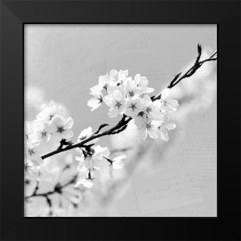 Postcard Magnolia 2 Black Modern Wood Framed Art Print by Kimberly, Allen