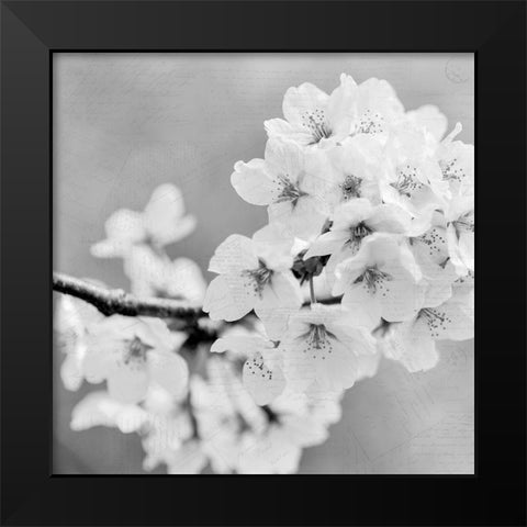 Postcard Magnolia 3 Black Modern Wood Framed Art Print by Kimberly, Allen