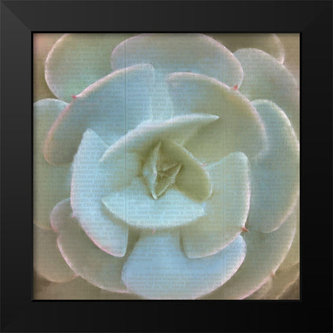Newspaper Succulent 2 Black Modern Wood Framed Art Print by Kimberly, Allen