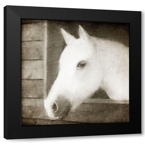 Glory Black Modern Wood Framed Art Print by Allen, Kimberly