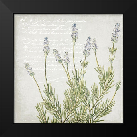 Lavender 2 Black Modern Wood Framed Art Print by Kimberly, Allen