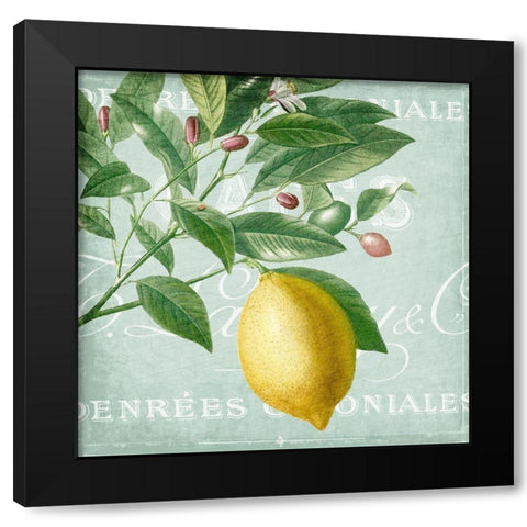 Lemon Drop 1 Black Modern Wood Framed Art Print by Kimberly, Allen