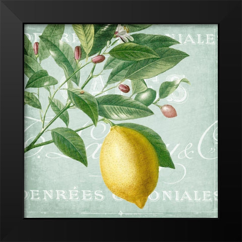 Lemon Drop 1 Black Modern Wood Framed Art Print by Kimberly, Allen