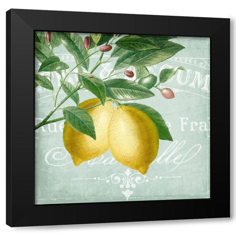 Lemon Drop 2 Black Modern Wood Framed Art Print with Double Matting by Kimberly, Allen