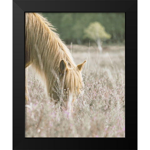 Golden Horse In Meadow Black Modern Wood Framed Art Print by Straatsma, Leah